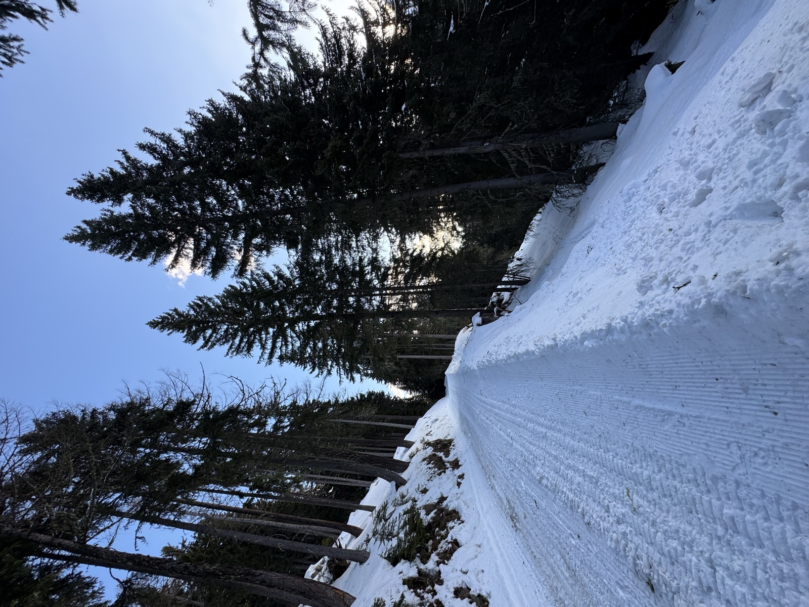 Snow-covered landscape in the Goms valley