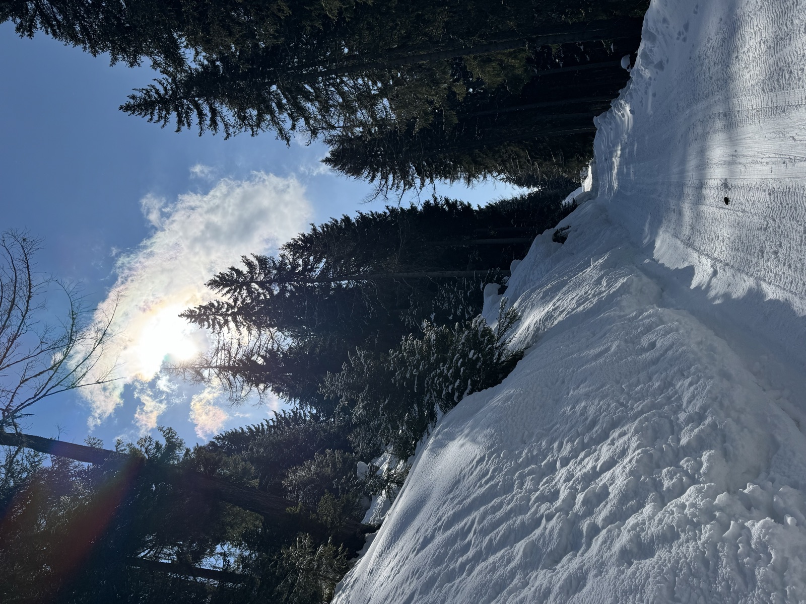 Winter landscape in the Goms valley