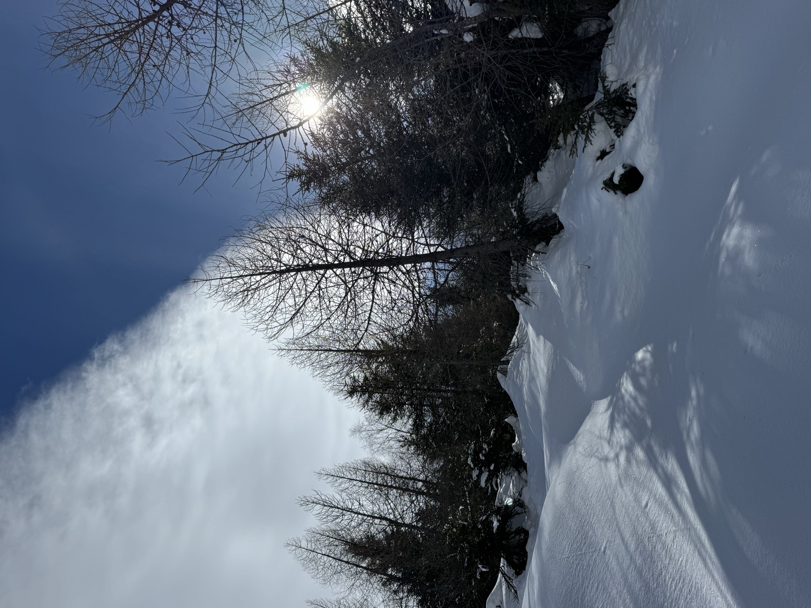 Winter landscape in the Goms valley