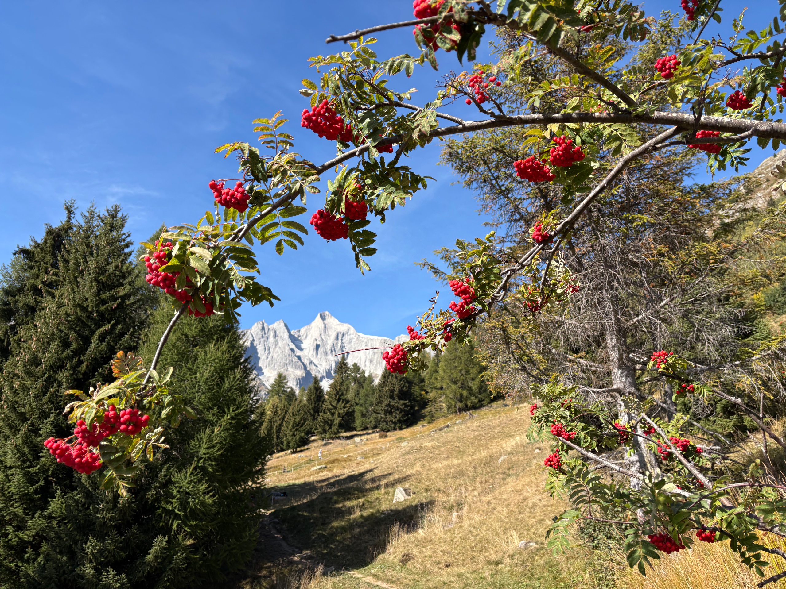 Wandern & Bergtouren