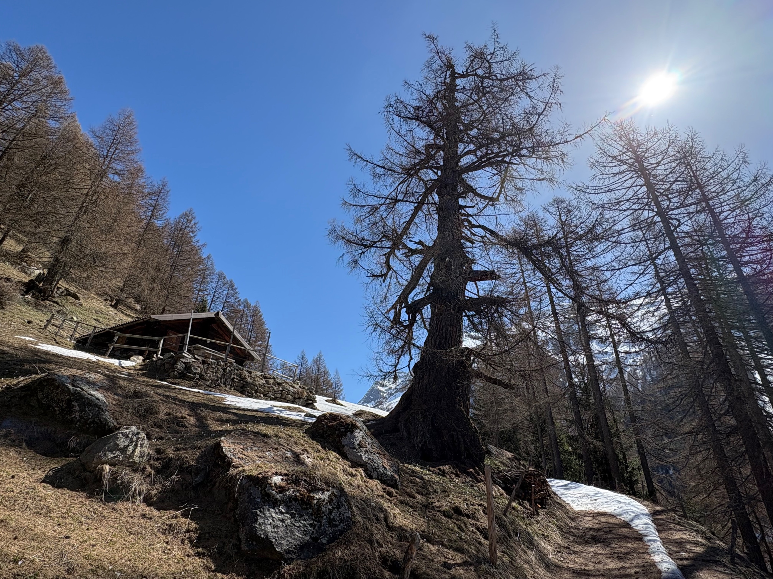 Wandern & Bergtouren