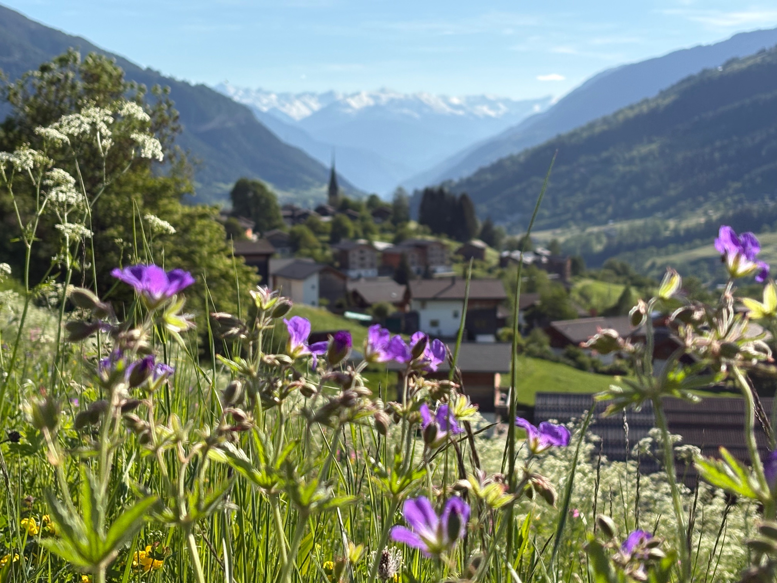 Wandern & Bergtouren