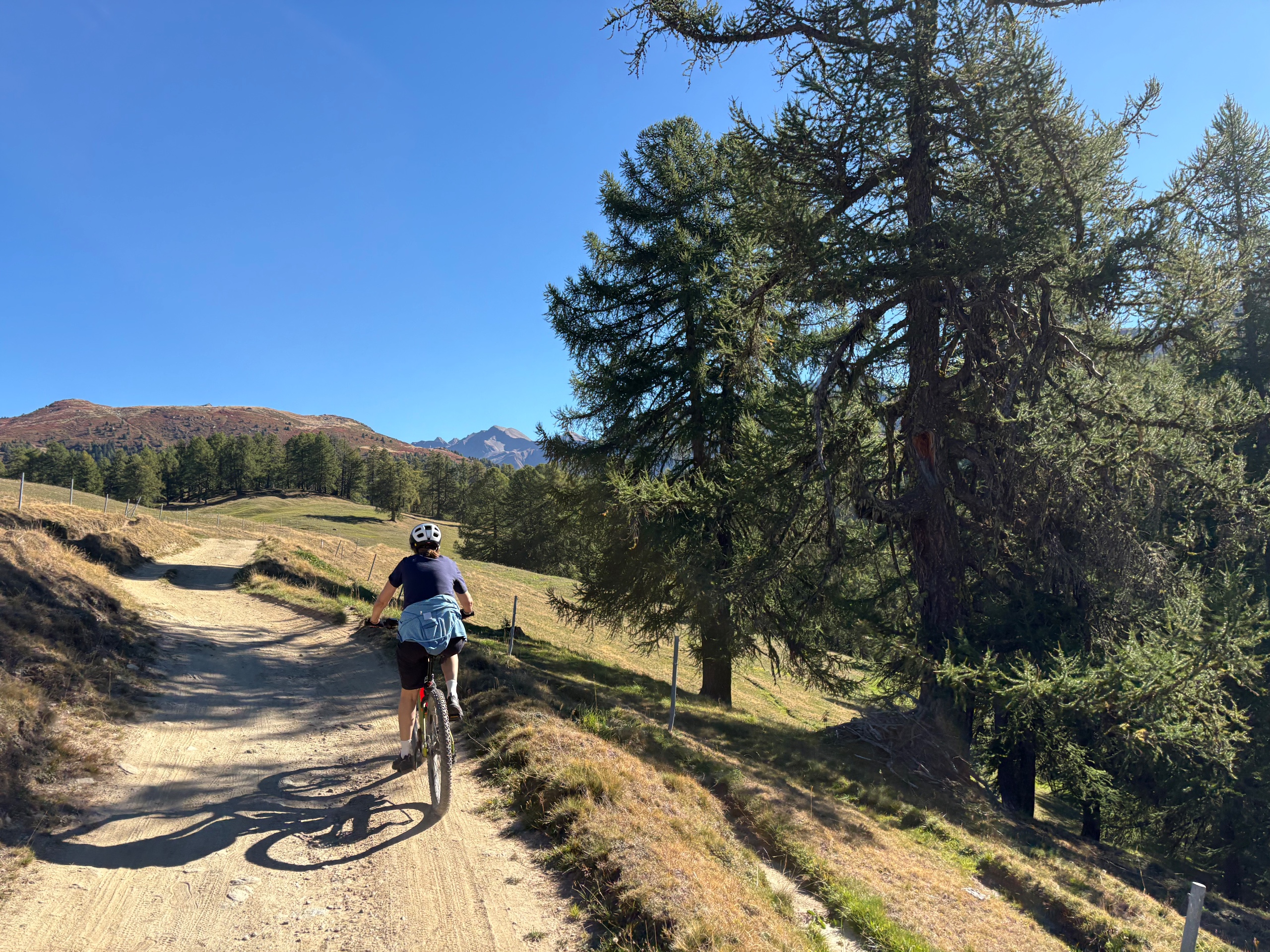 Mountainbiken