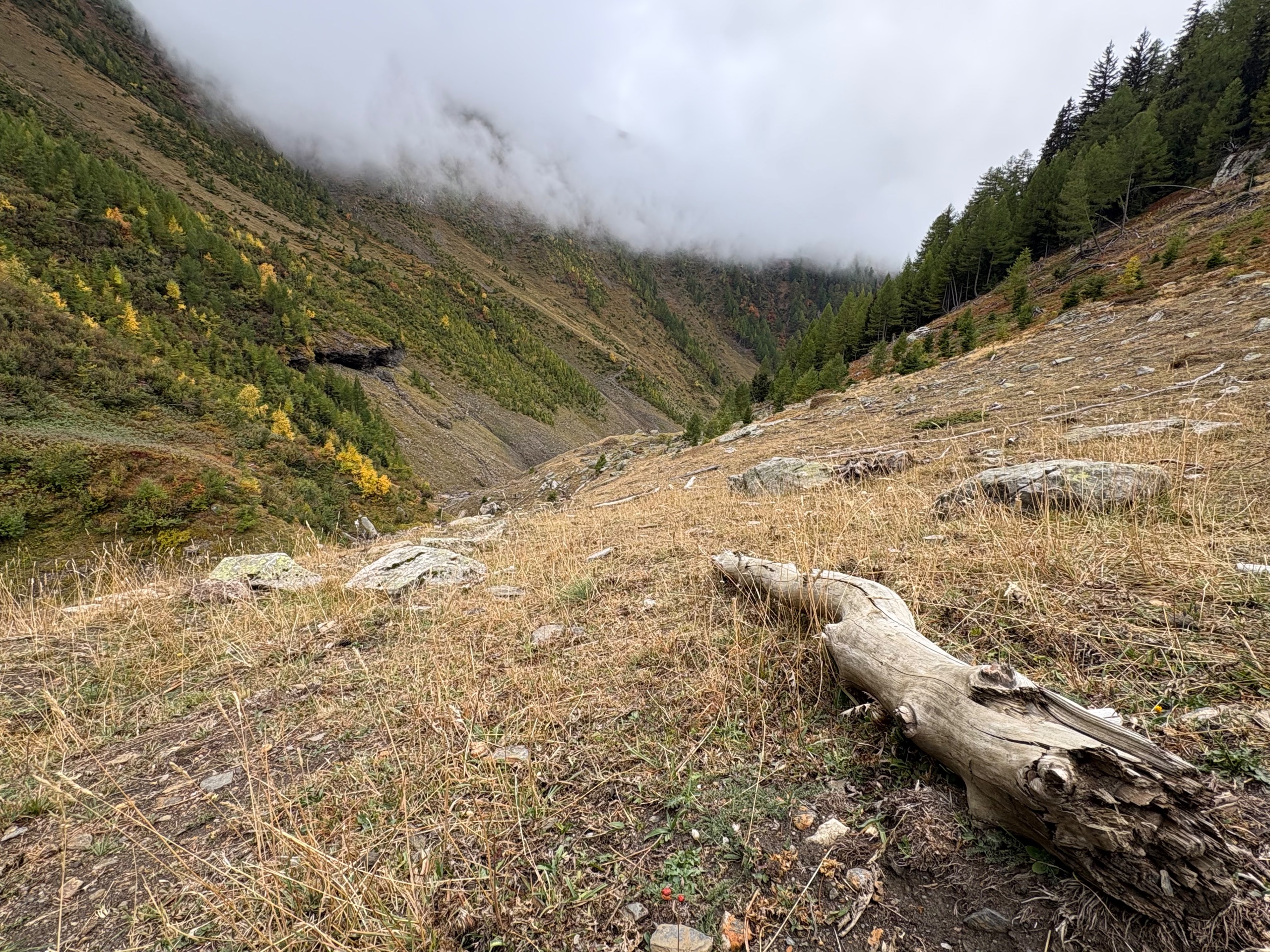 Wandern & Bergtouren