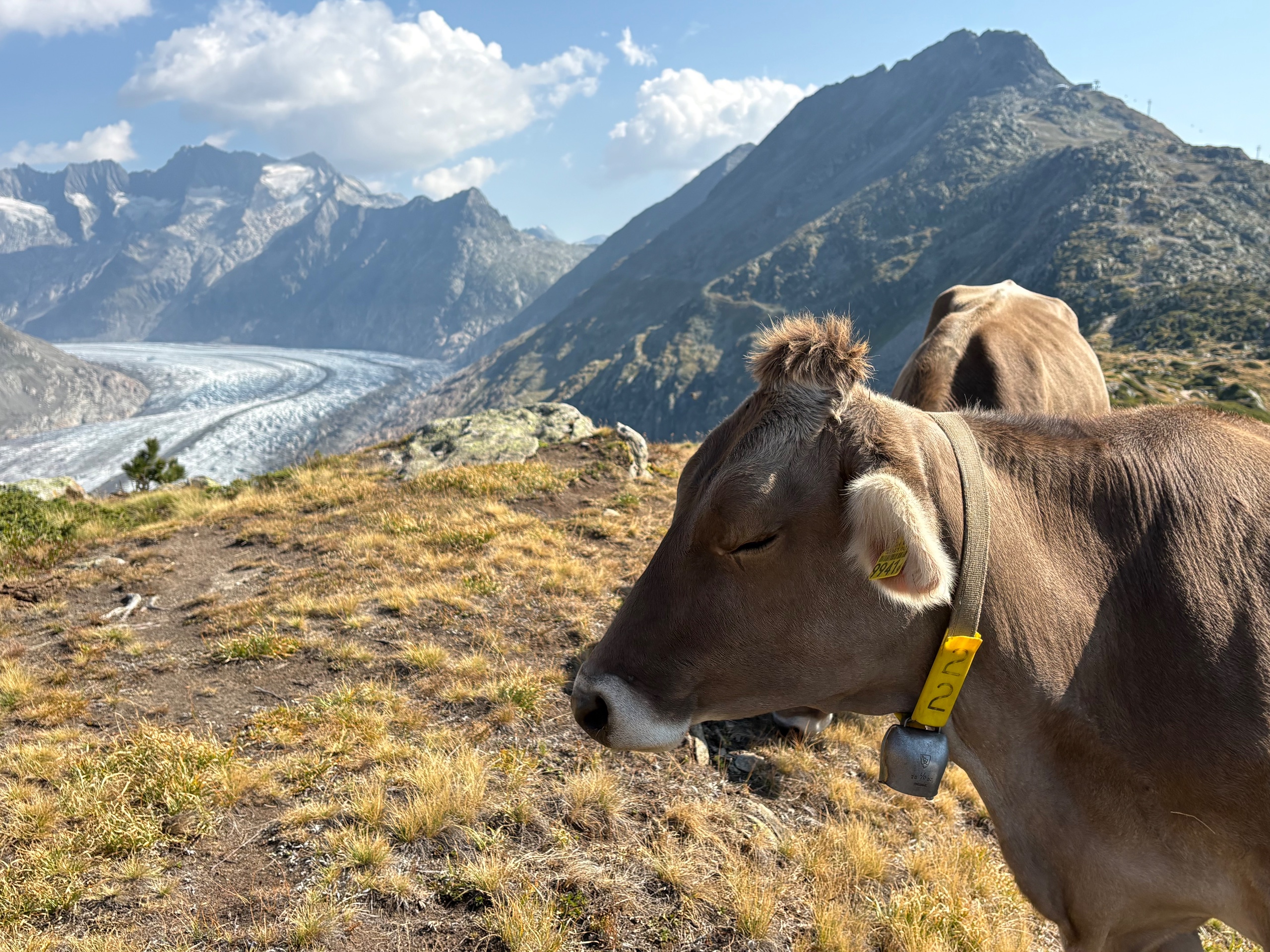 Berglandschaft im Goms, Wallis